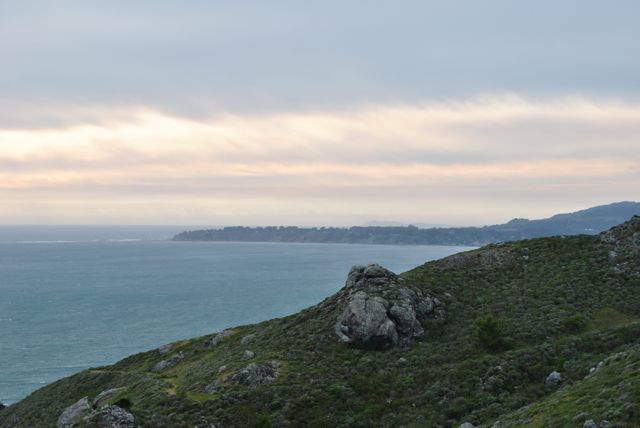 Marin View